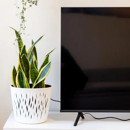 163 Zentrum Nord Messe,hbf,a14 Апартаменты *