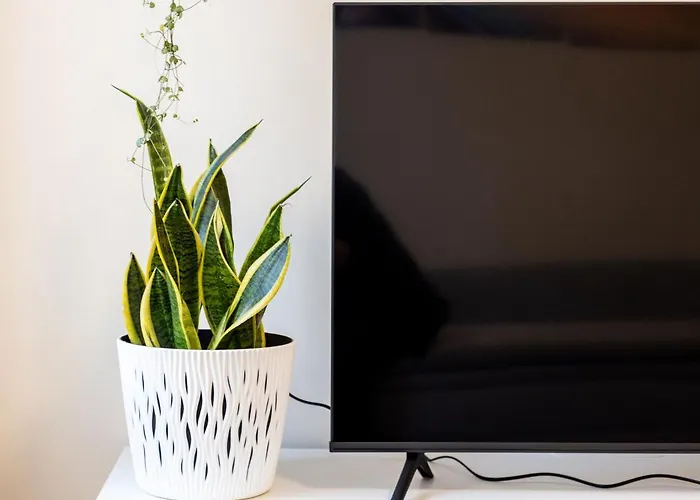 163 Zentrum Nord Messe,hbf,a14 Апартаменты *